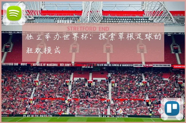 独立举办世界杯：探索草根足球的狂欢模式