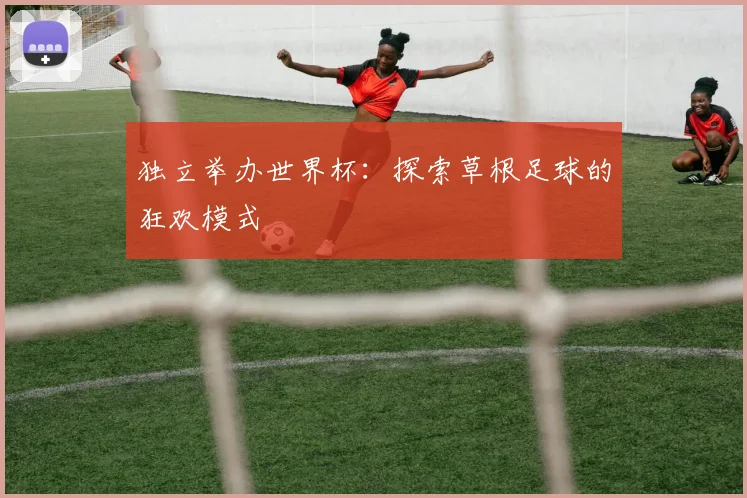 独立举办世界杯：探索草根足球的狂欢模式