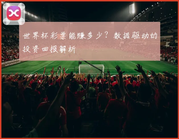 世界杯彩票能赚多少？数据驱动的投资回报解析