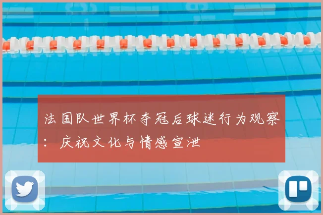 法国队世界杯夺冠后球迷行为观察:庆祝文化与情感宣泄