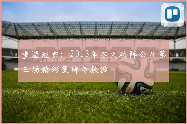 重温经典：2013年热火对阵公牛第三场精彩集锦与数据